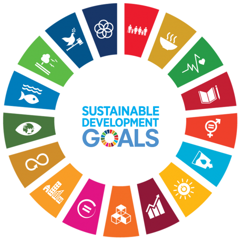 Sustainable Development Goals